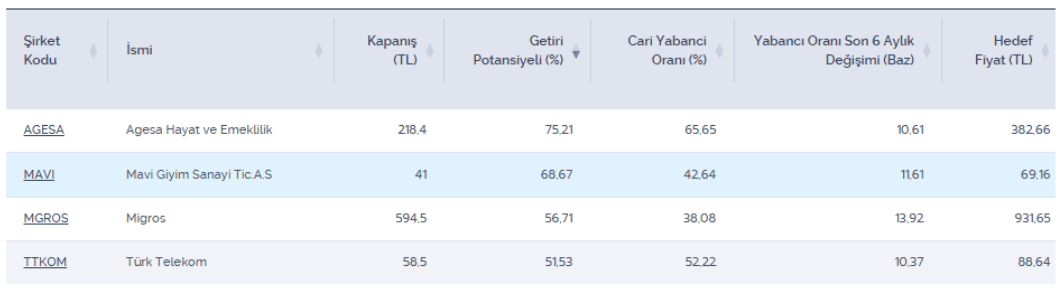 Yabancı oranı artan potansiyelli dört hisse: MAVI listede