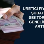 Yurt içi üretici fiyatları Şubat’ta yükseldi