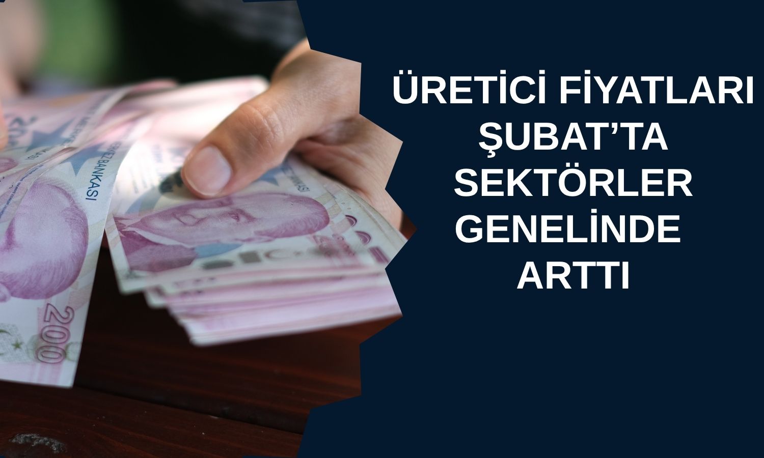 Yurt içi üretici fiyatları Şubat’ta yükseldi