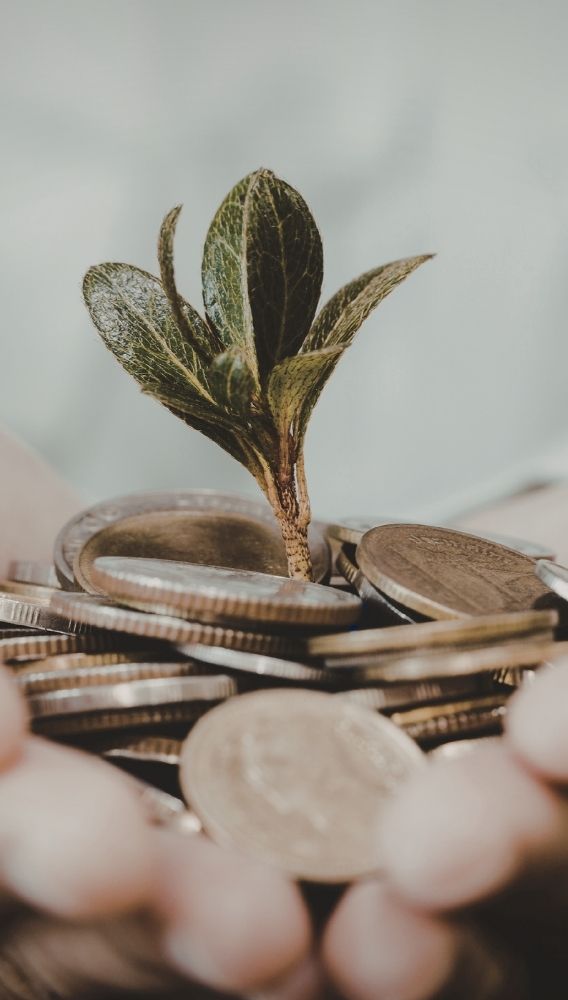 Akfen Yenilenebilir temettü dağıtmama kararı aldı