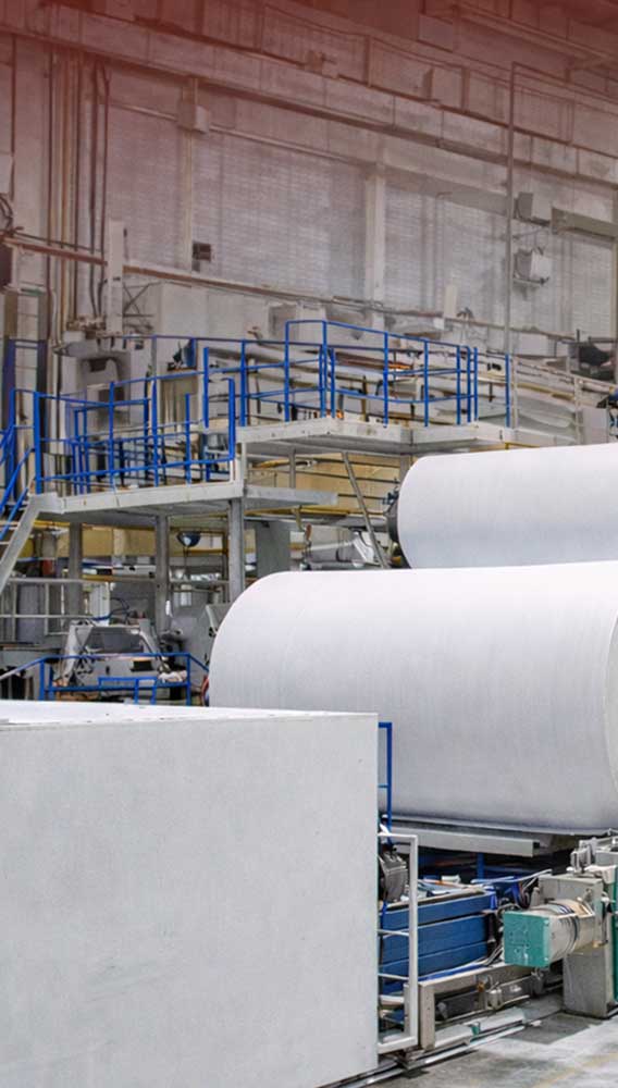 Alkim Kağıt yatırımında kritik aşama: Üretim için geri sayım