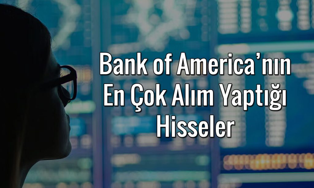 BofA 257 TL hedef fiyatlı enerji hissesini sepete ekledi