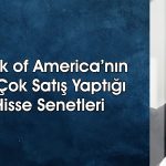 BofA’dan havacılık devinde 1,1 milyar TL’lik kar satışı