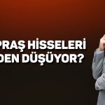 Borsa uçuşa geçerken Tüpraş (TUPRS) hisseleri çakıldı