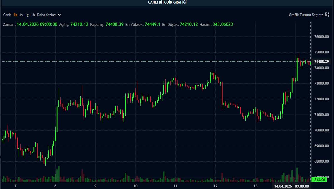 BTC fiyat grafiği BTC fiyat grafiği