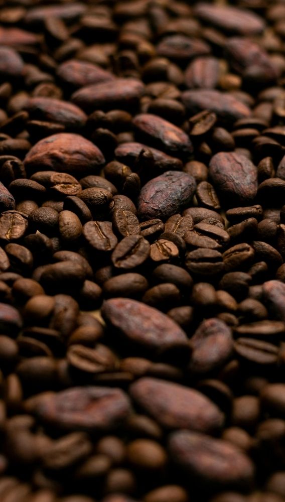 Çikolata devinde kâr alarmı: Kakao krizi şirketi vurdu!