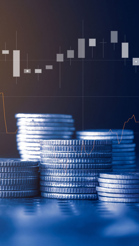 Elite Naturel 2025 karından 12,9 milyon TL temettü verecek