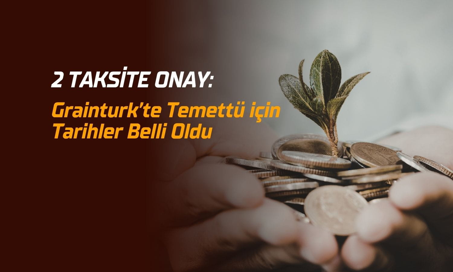 Grainturk Holding temettü ödemesi netleşti: 2 taksite onay