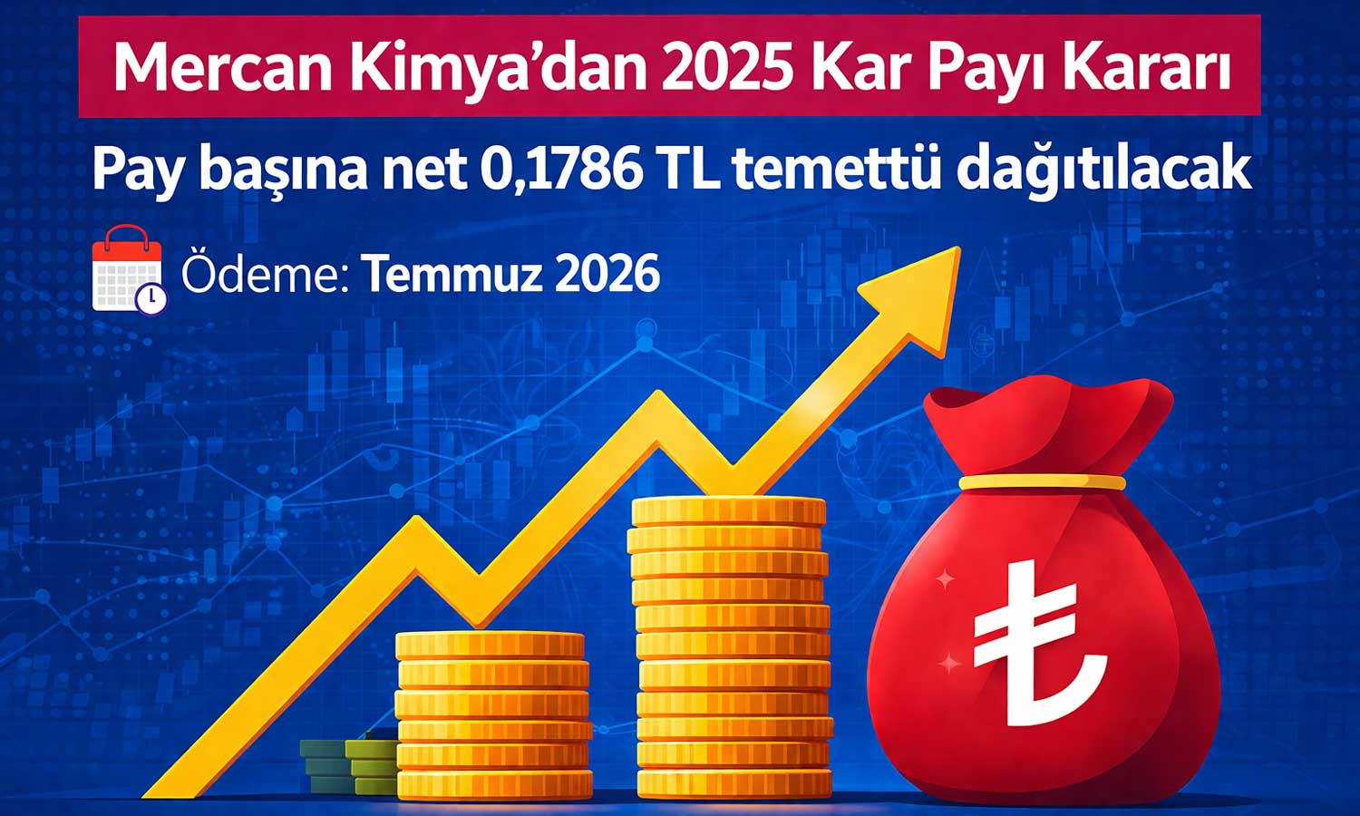 Mercan Kimya’dan 34 milyon TL’lik nakit temettü