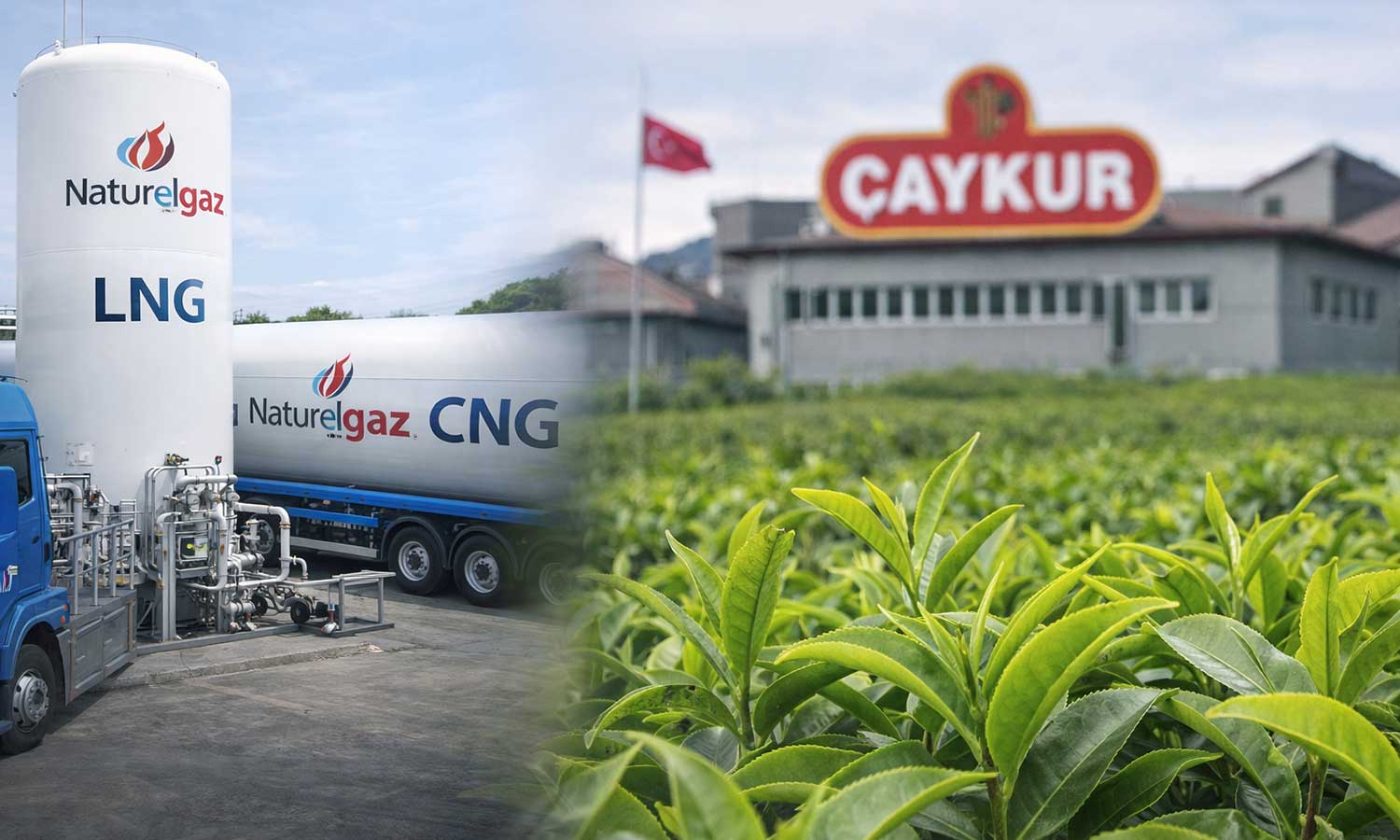 Naturelgaz, ÇAYKUR’un 811 milyon TL’lik ihalesini kazandı