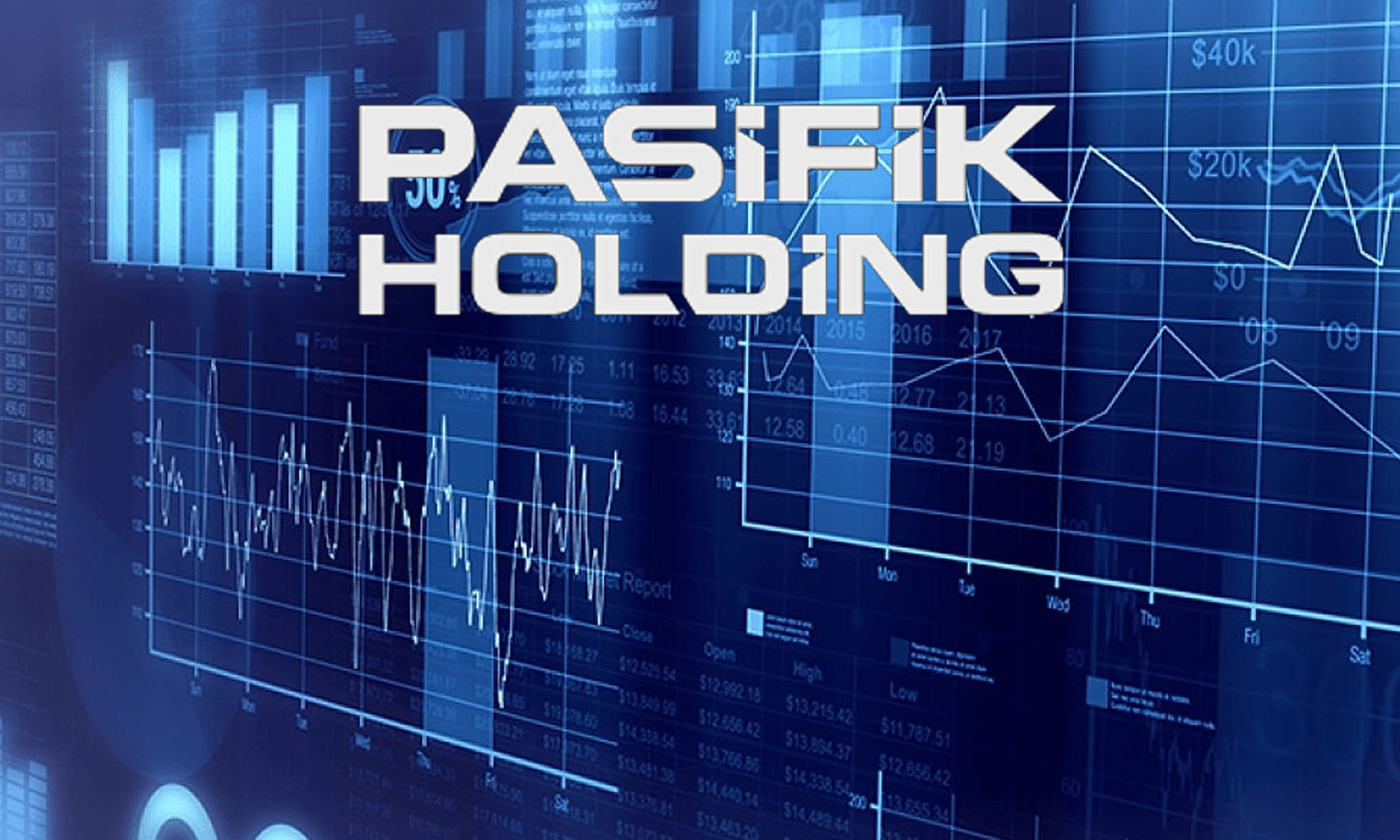 Net karı yüzde 1483 artan PAHOL temettü dağıtmayacak