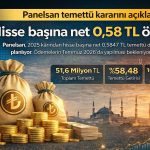 Panelsan kârını paylaşıyor: Yüzde 58 temettü getirisi