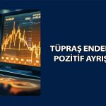 Tüpraş endeksten pozitif ayrışarak rekordan rekora koşuyor