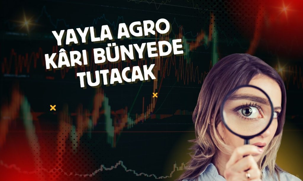 Yayla Agro kârı dağıtmayıp mali yapıyı güçlendirecek