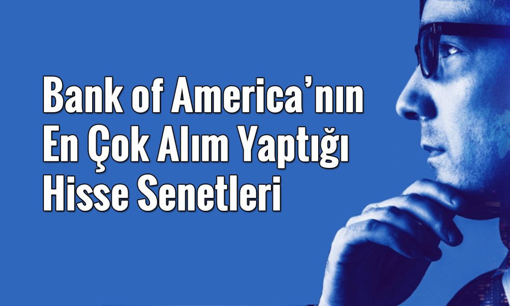BofA’dan 6,3 milyar TL’lik alım: Enerji hissesini tavana taşıdı