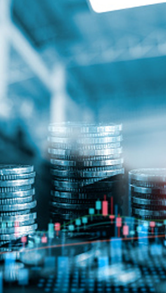BofA’nın aldığı enerji hissesi 326 TL ile rekor tazeledi