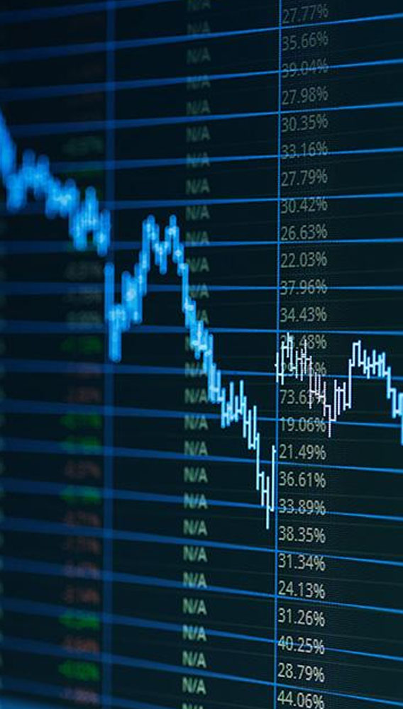 Borsa İstanbul’dan yeni halka arz Ekinciler hakkında duyuru