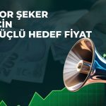 BORSK için yüzde 52 getiri hedefi: Destek Yatırım AL dedi