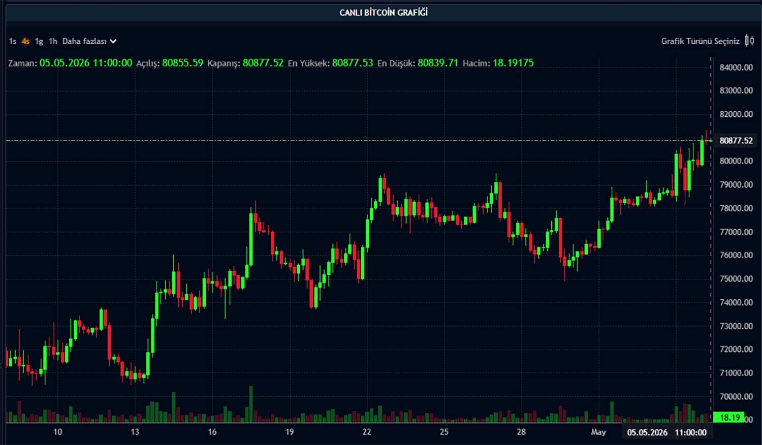 BTC fiyat grafiği