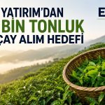 Efor Yatırım’dan 100 bin tonluk yaş çay alım hedefi