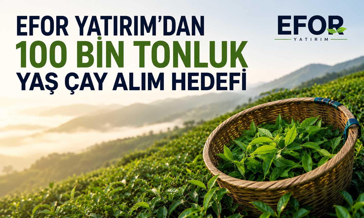 Efor Yatırım’dan 100 bin tonluk yaş çay alım hedefi