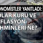 Ekonomistler dolar/TL anketine katıldı: Beklentiler değişti