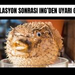 Enflasyonda görünüm zorlu: TCMB için alan daralıyor