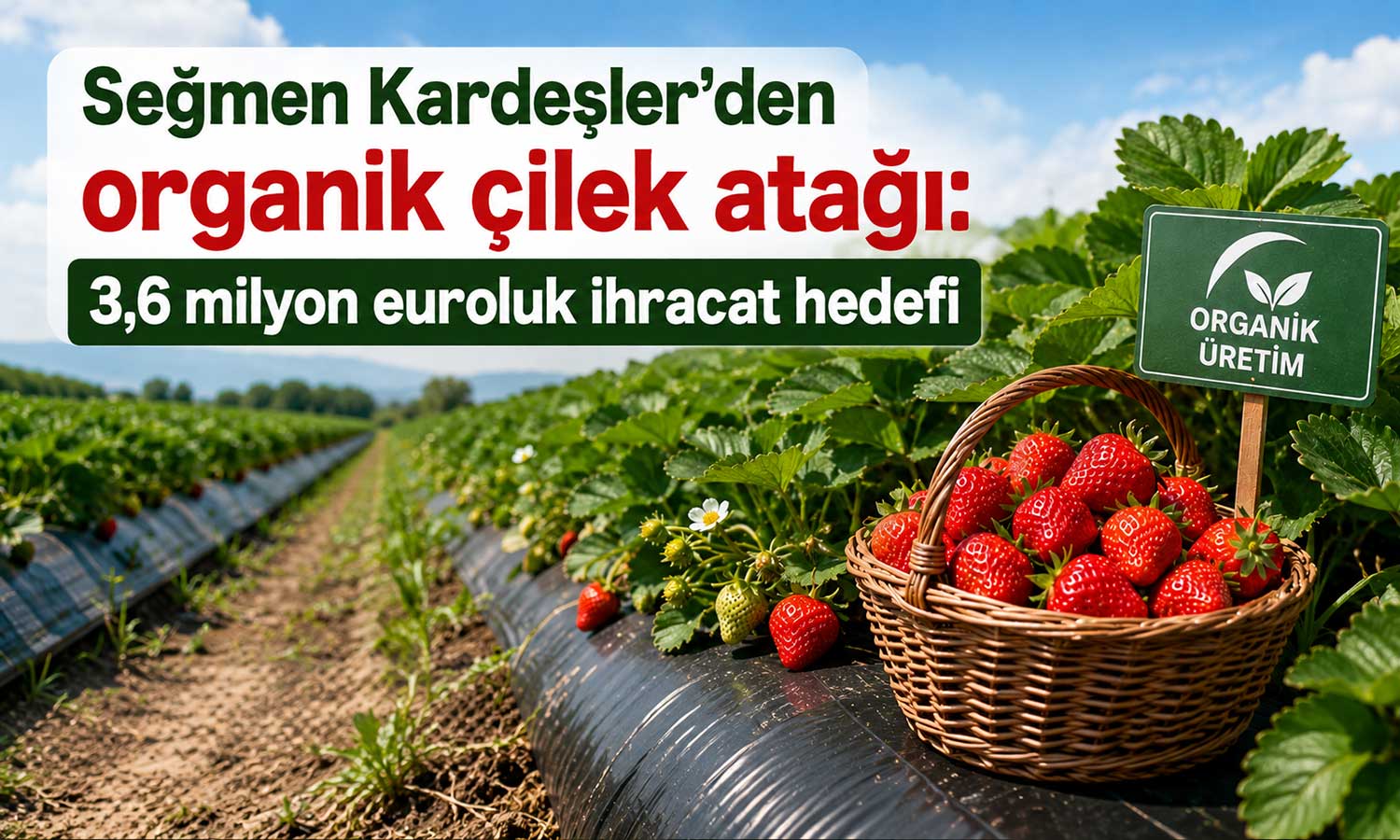 Seğmen Kardeşler’den organik tarım yatırımı