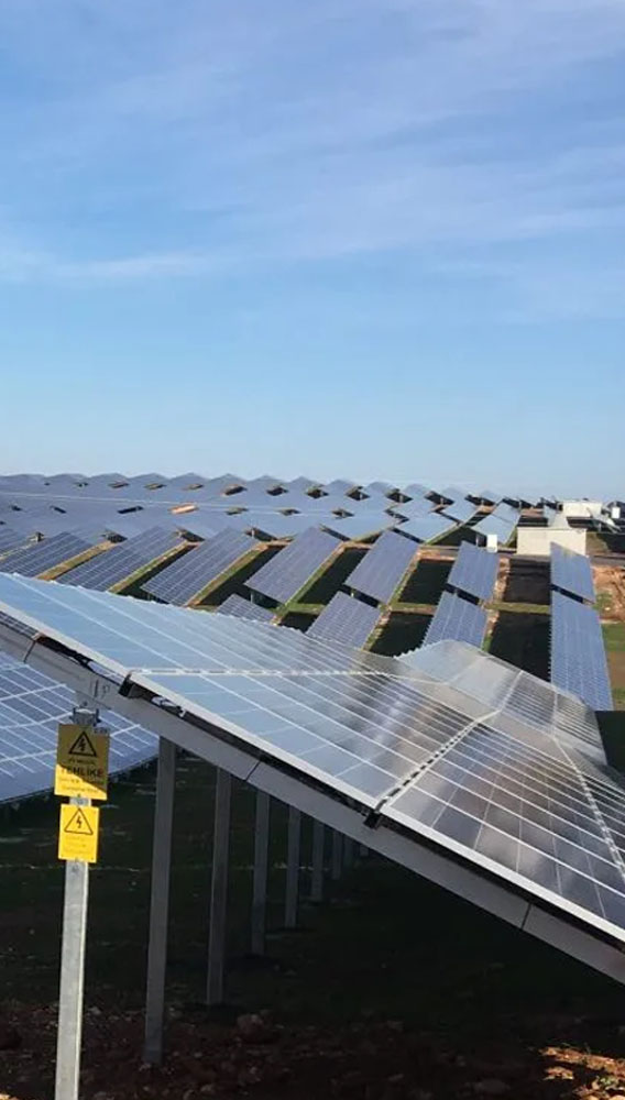 Selva Gıda yeni GES tesisiyle elektrik maliyetini azaltacak