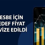 VESBE’de 1,3 milyar TL zarar sonrası hedef fiyat 10 TL’ye indi