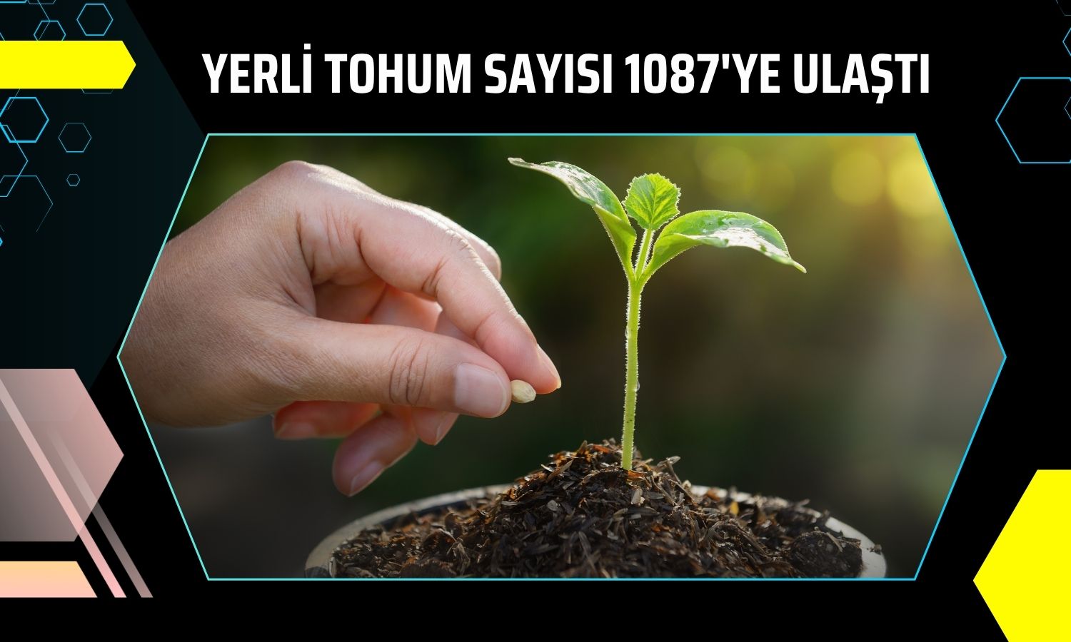 Yumaklı açıkladı: Yerli tohumda 39 yeni çeşit tescil edildi