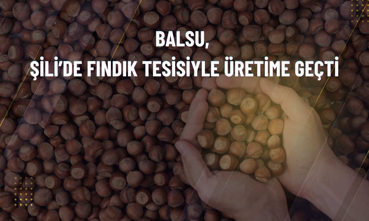 Balsu Gıda Şili fındık yatırımında ilk fazı tamamladı
