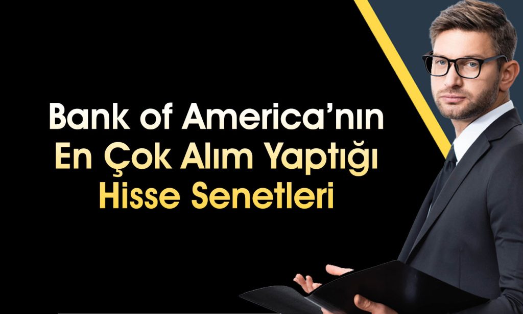 BofA 498 TL hedef fiyatlı havacılık hissesinde alım yaptı