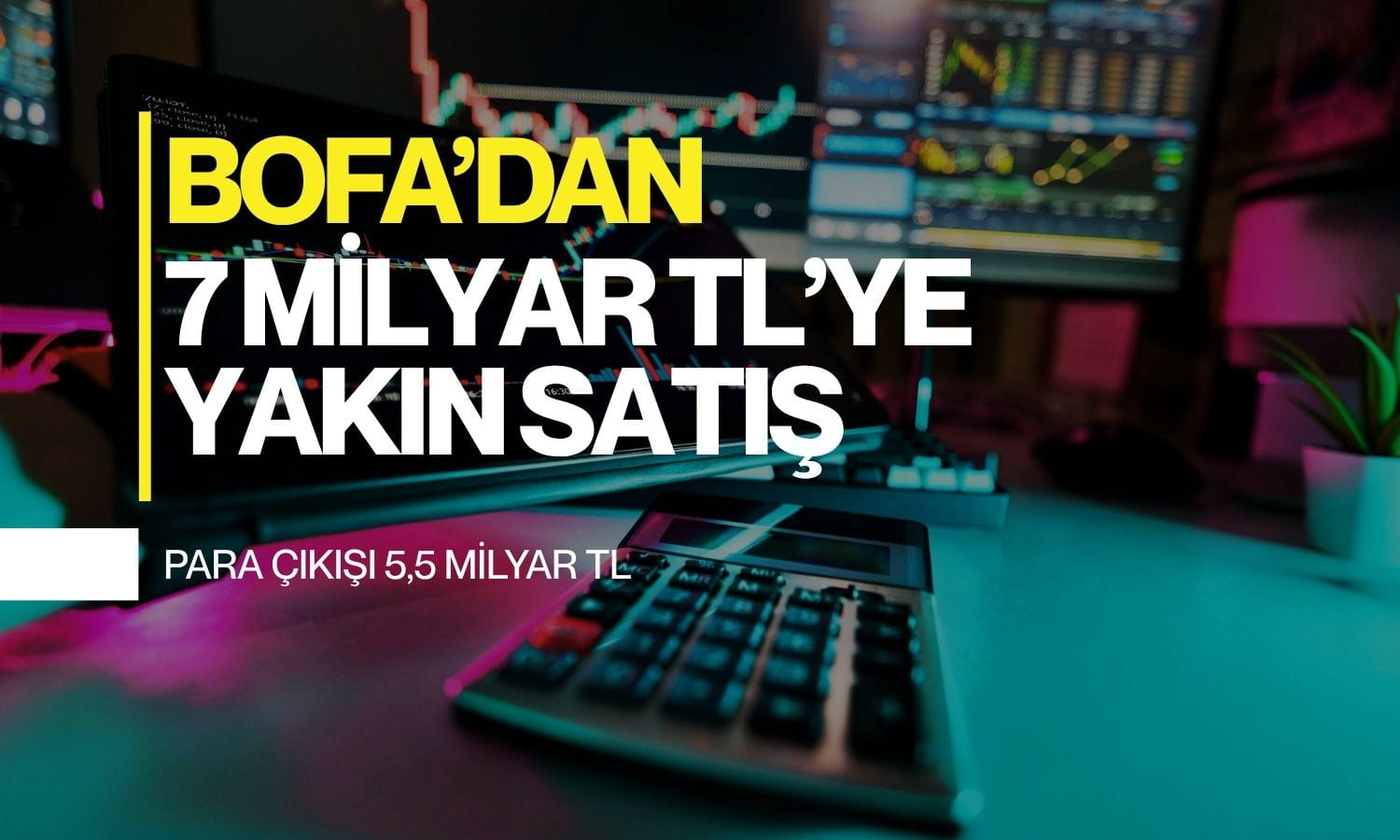 BofA’nın satışları 7 milyar TL’ye yakın: Para çıkışı 5,5 milyar TL