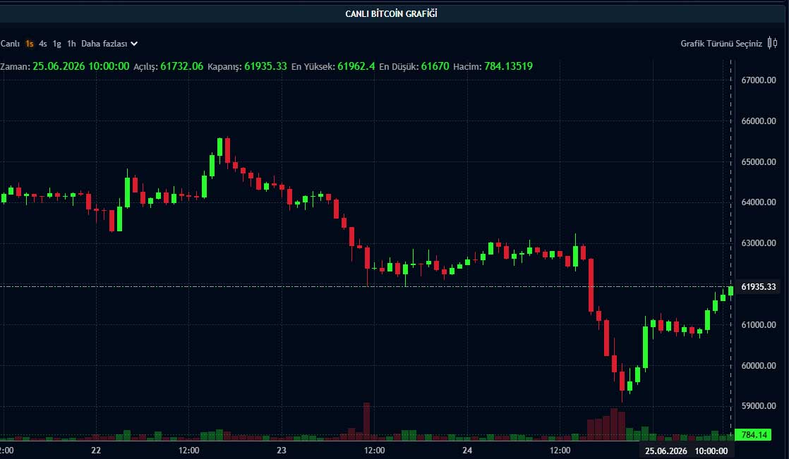 BTC fiyat grafiği