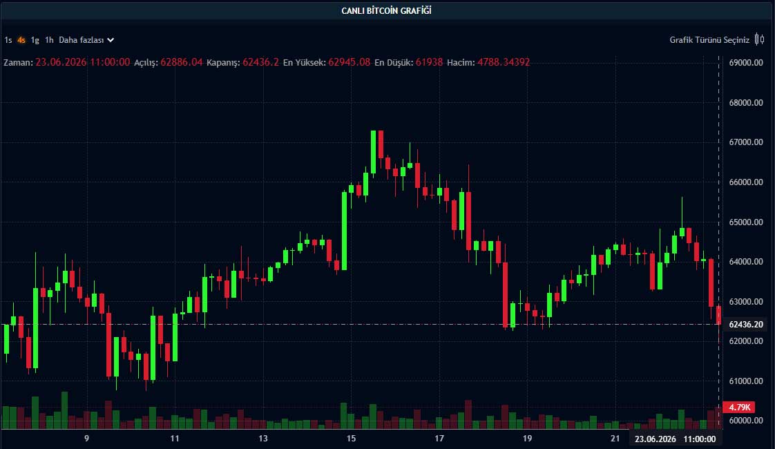 BTC fiyat grafiği