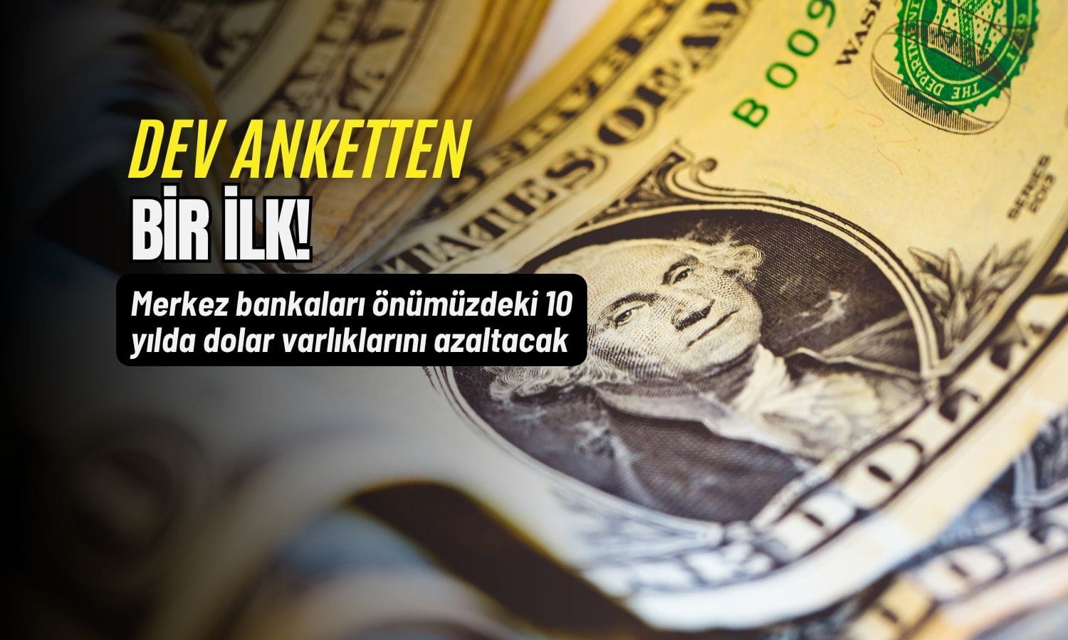 Dev anket gösterdi: Merkez bankaları dolar rezervlerini azaltmaya hazır