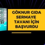 GOKNR kayıtlı sermaye tavanı için SPK’ya başvurdu