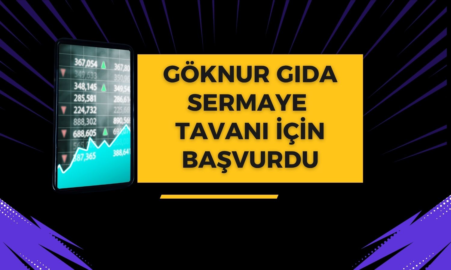 GOKNR kayıtlı sermaye tavanı için SPK’ya başvurdu