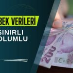 Hisseleri rekor kıran EBEBEK için sınırlı olumlu yorumu!