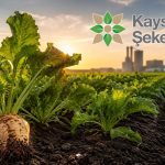 Kayseri Şeker, FD Tohum ile ortaklık görüşmelerini sonlandırdı