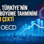 OECD’den Türkiye ekonomisi için temkinli büyüme beklentisi
