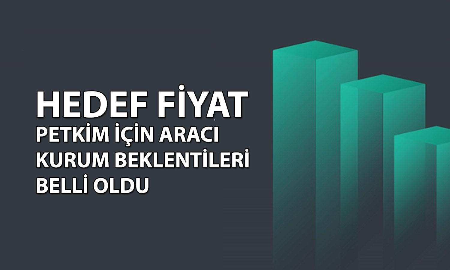 Petkim’de etilen nafta-makası daraldı: Hissede hedef fiyat ne?
