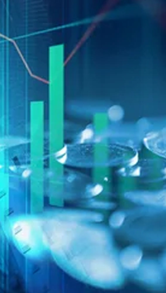 Şok Marketler 2025 zararına işaret etti: Temettü verecek mi?