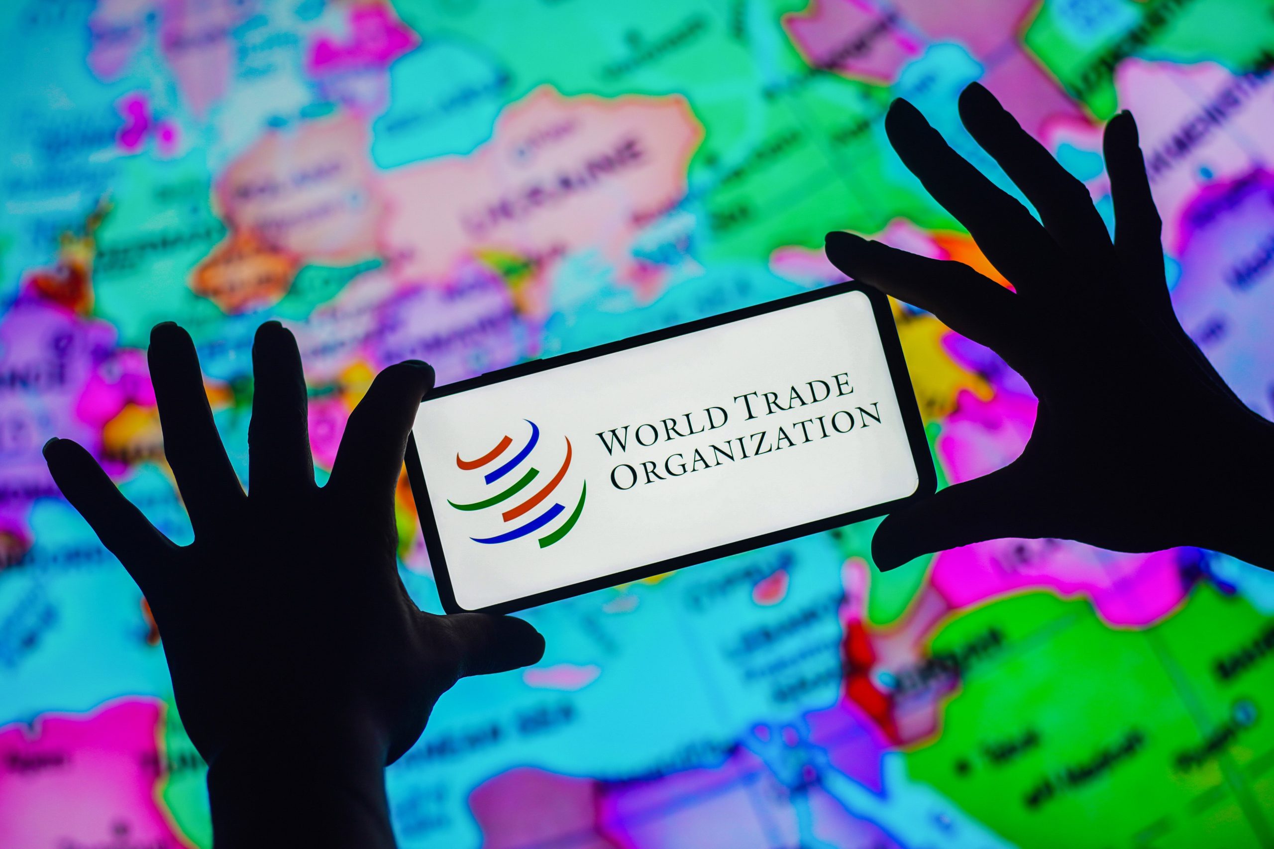 WTO uyardı: Küresel mal ticareti hız kesiyor