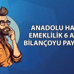 Anadolu Hayat Emeklilik’in (ANHYT) net karı yüzde 44 yükseldi