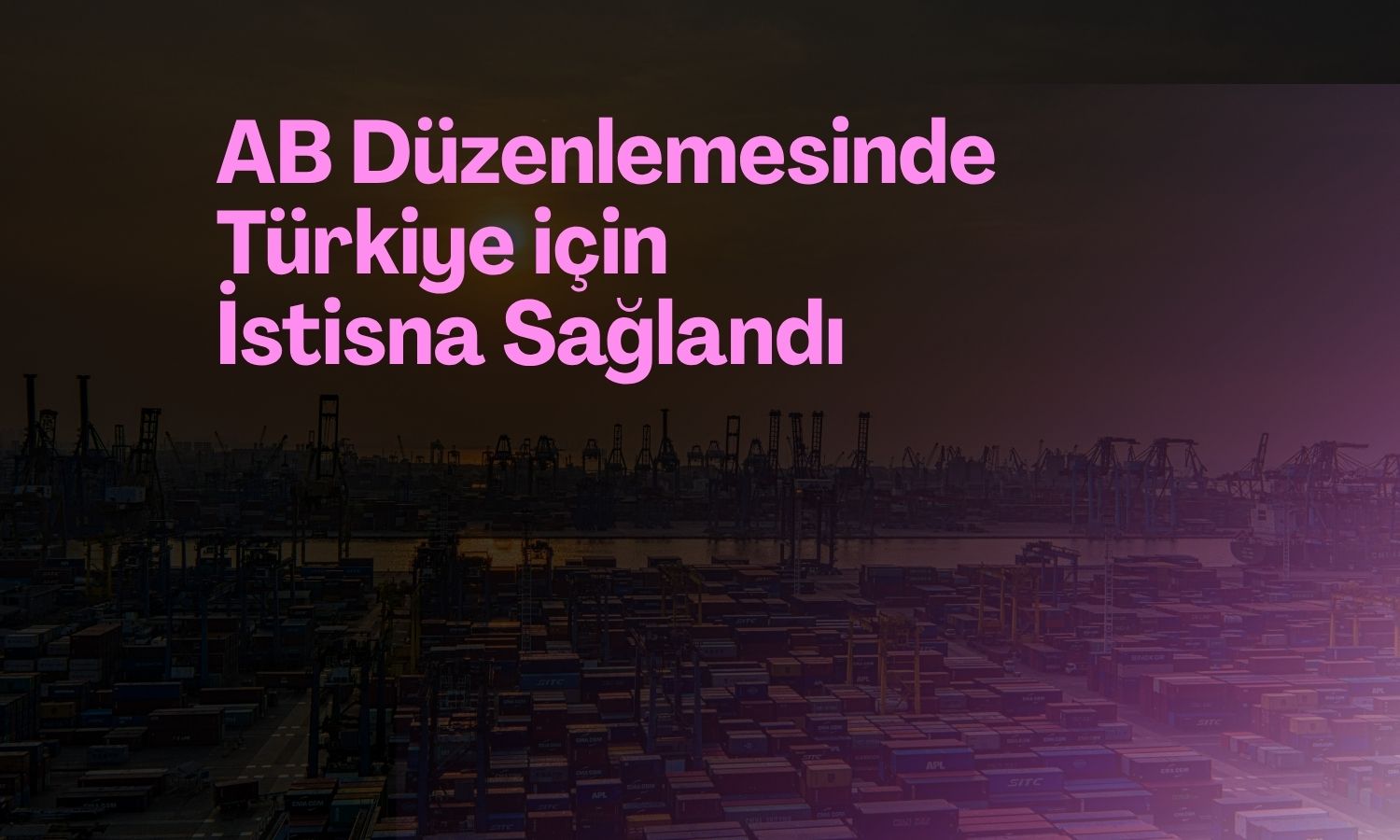 Bolat: AB ile e-ticarette kazanımlarımız korundu