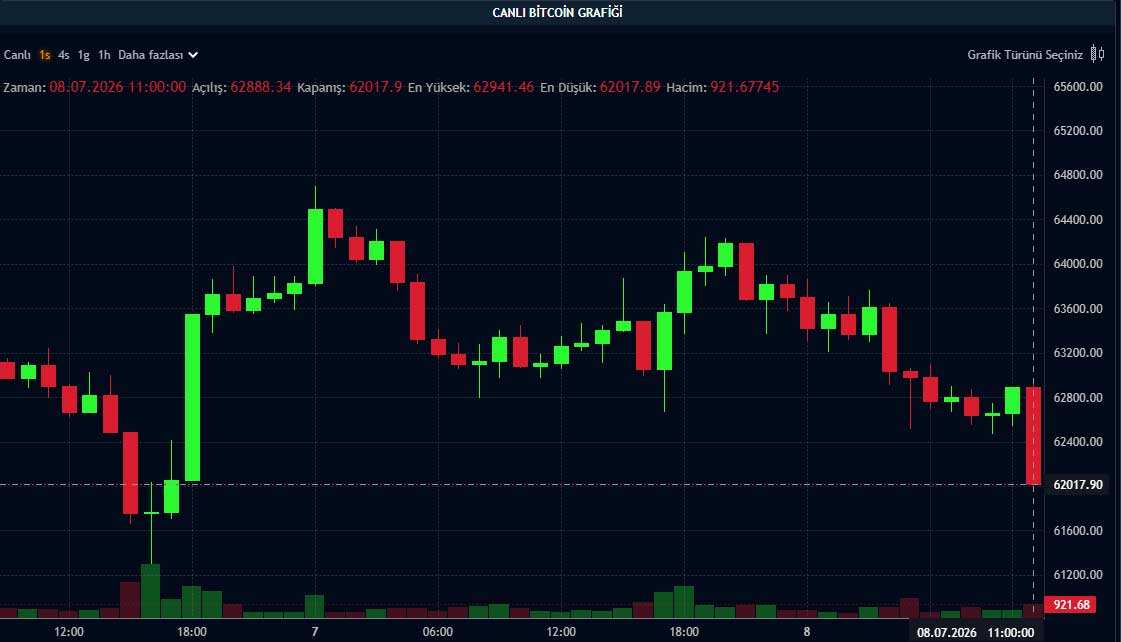 BTC fiyat grafiği