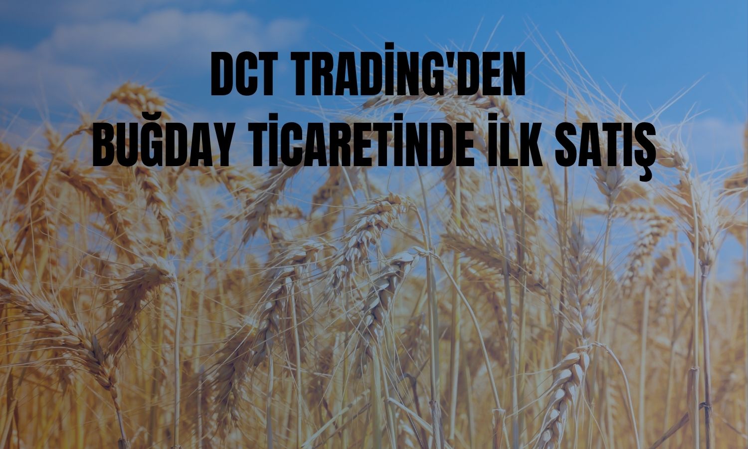 DCT Trading'in Yunanistan şirketi buğday ticaretine başladı