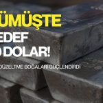 Gümüşte düzeltme boğa piyasasını güçlendirdi: Hedef 70 dolar